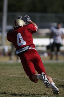 华体会app评价-主场作战优势明显 球队延续连胜纪录，主场作战下一句是啥