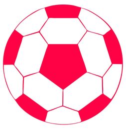 华体会平台-国家队青训体系实现区域联动 引导多元发展，青训队伍